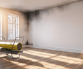 Smoke Damage Restoration